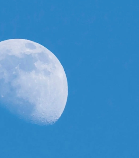 Die Periode mit dem Mondzyklus in Einklang bringen - Mythos oder Realität?